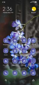 Blue Orchid