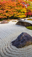 京都红叶狩 