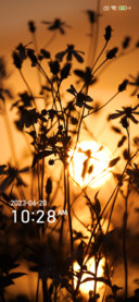 Setting sun