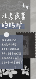 北岛夜莺的眼睛