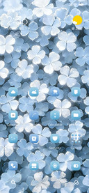 Blue Flower