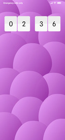 LoonGLAS_DWM3