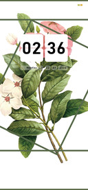 Flowers and plants