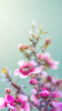 花开花落