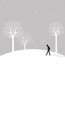 snow NY