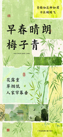 早春晴朗梅子青