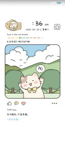 乐町猫咪日记