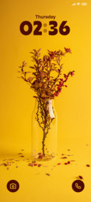 Dry Leaf