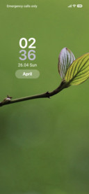 Leaf