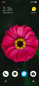 Pink Radiance