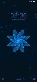 蓝色花