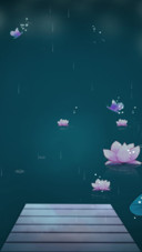 莲子