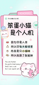 笨蛋小猫是个人机