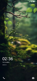 梦幻森林 护眼