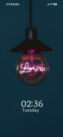 Midnight Ornament