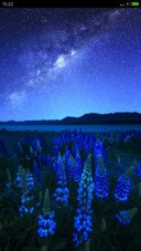 星空下