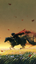 The knight on the grassland
