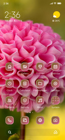 Pink Flower