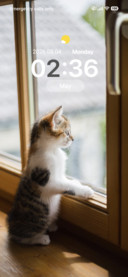 Cat-titude
