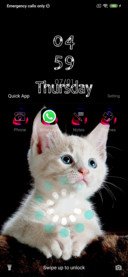 Cute Cat