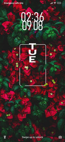 Flowers_DWM20