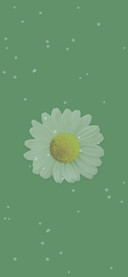 素简simple