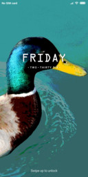 Duckk_DWM19