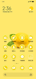 Lemons_3MDS