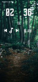 Jungle