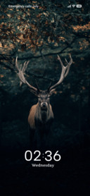 Black Mist