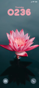 Pink Flower