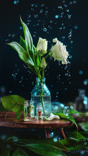 Flowers have to quit