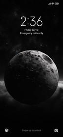 Black planet