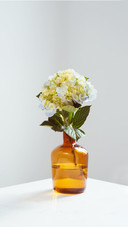 Beautiful Spring Flowers in Vase on Window Background