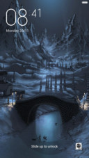 Winter Dream