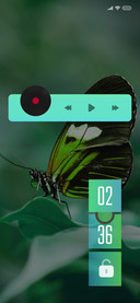 ButterFly4