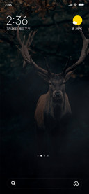 elk