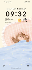 Lazy Cat