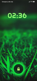 GRASS_DWM3