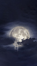 shutterstock_1137036317