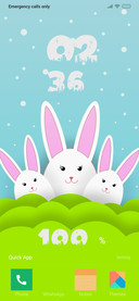 Rabbit