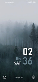 Fogg Forest