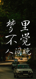 梦里不觉人间晚