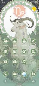 Capricorn