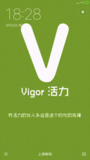 Vigor 活力