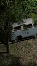 the old car in forest