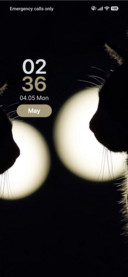 Meow Magic