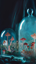 Mushroom world 37