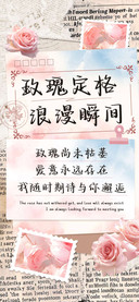 玫瑰定格浪漫瞬间