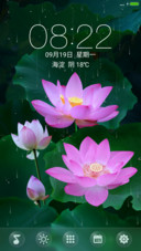 全动态唯美荷花(好评返现)